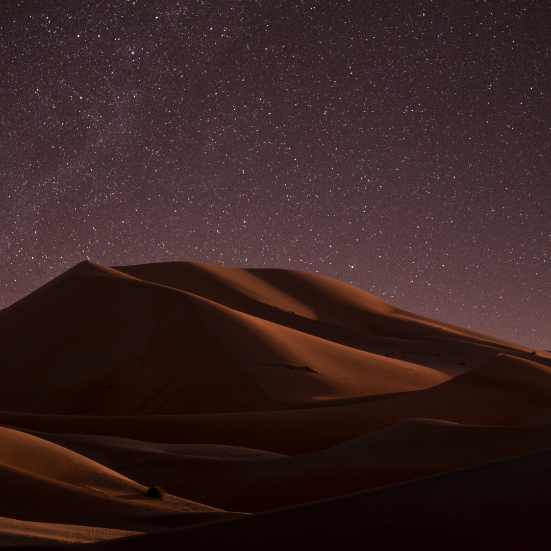 Stargazing in the Desert: Your Guide to a Night Under the Stars